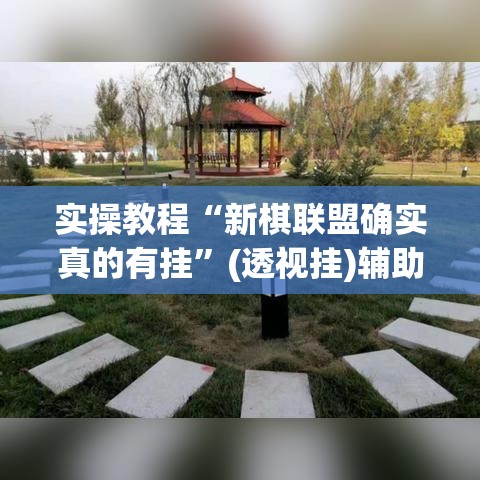 实操教程“新棋联盟确实真的有挂”(透视挂)辅助透视教程