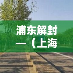 浦东解封—(上海浦东小区解封) 浦东解封—(上海浦东小区解封)