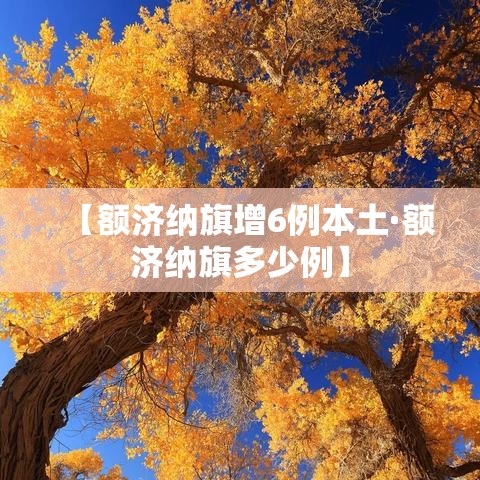 【额济纳旗增6例本土·额济纳旗多少例】
