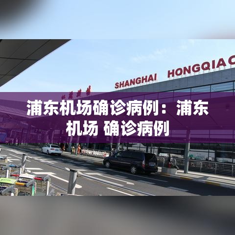 浦东机场确诊病例:浦东机场 确诊病例 浦东机场确诊病例:浦东机场 确诊病例