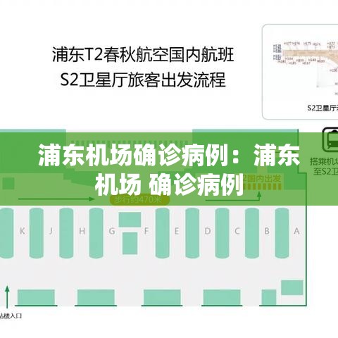 浦东机场确诊病例:浦东机场 确诊病例 浦东机场确诊病例:浦东机场 确诊病例