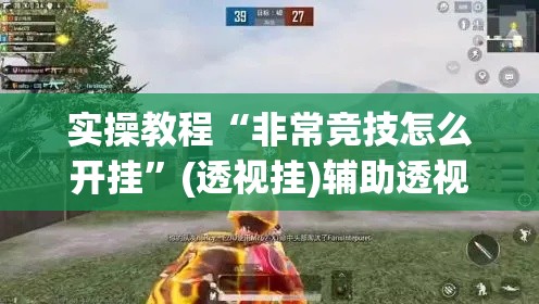 实操教程“非常竞技怎么开挂”(透视挂)辅助透视教程