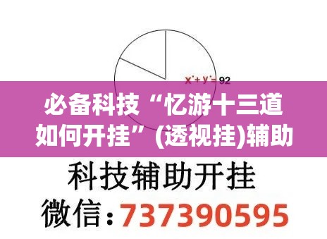 必备科技“忆游十三道如何开挂”(透视挂)辅助透视教程