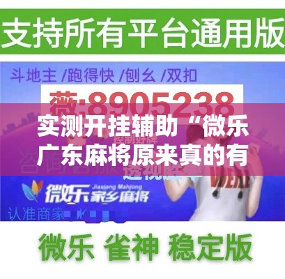 实测开挂辅助“微乐广东麻将原来真的有挂”科技辅助神器手机版教程