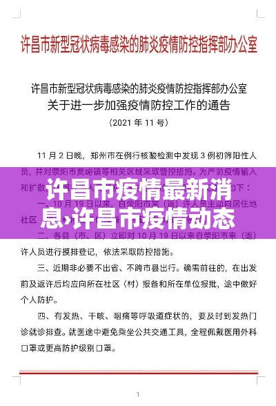 许昌市疫情最新消息›许昌市疫情动态