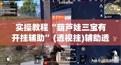 实操教程“葫芦娃三宝有开挂辅助”(透视挂)辅助透视教程
