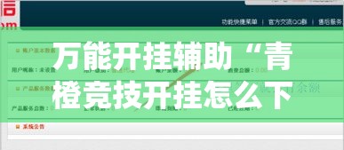 万能开挂辅助“青橙竞技开挂怎么下载(辅助神器)开挂详细教程