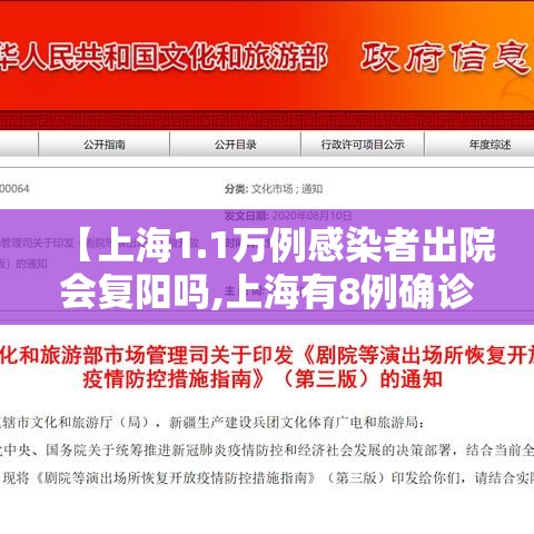 【上海1.1万例感染者出院会复阳吗,上海有8例确诊病例今日出院 共计出院1151例】