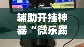 辅助开挂神器“微乐踢坑透视挂下载”科技辅助神器手机版教程