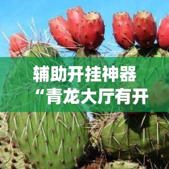 辅助开挂神器“青龙大厅有开挂工具吗(辅助神器)开挂详细教程 辅助开挂神器“青龙大厅有开挂工具吗(辅助神器)开挂详细教程