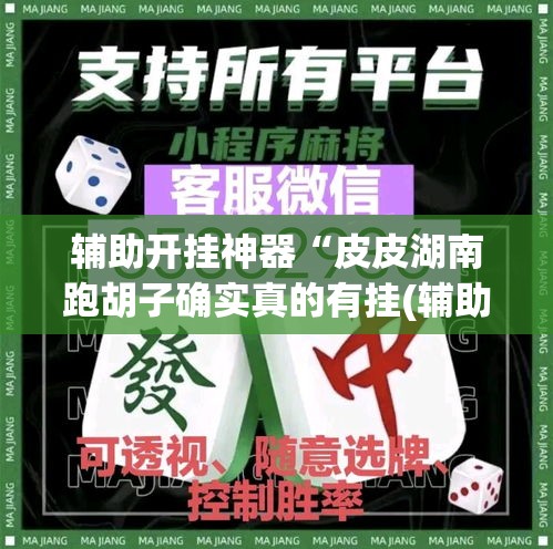 辅助开挂神器“皮皮湖南跑胡子确实真的有挂(辅助神器)开挂详细教程 辅助开挂神器“皮皮湖南跑胡子确实真的有挂(辅助神器)开挂详细教程