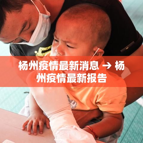 杨州疫情最新消息 → 杨州疫情最新报告