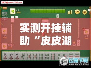 实测开挂辅助“皮皮湖南麻将开挂神器”透视开挂辅助教程