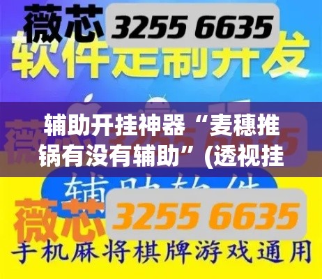 辅助开挂神器“麦穗推锅有没有辅助”(透视挂)辅助透视教程
