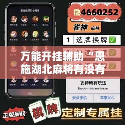 万能开挂辅助“恩施湖北麻将有没有挂”科技辅助神器手机版教程