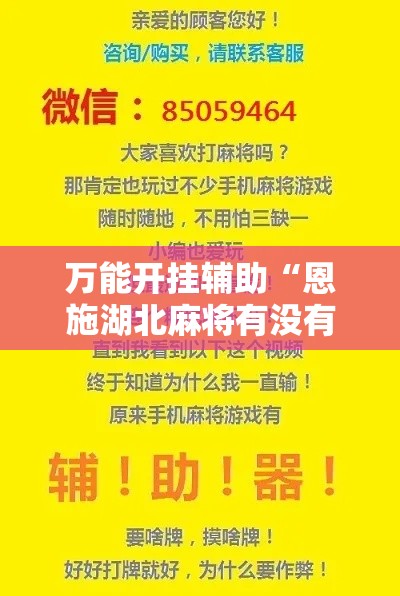 万能开挂辅助“恩施湖北麻将有没有挂”科技辅助神器手机版教程