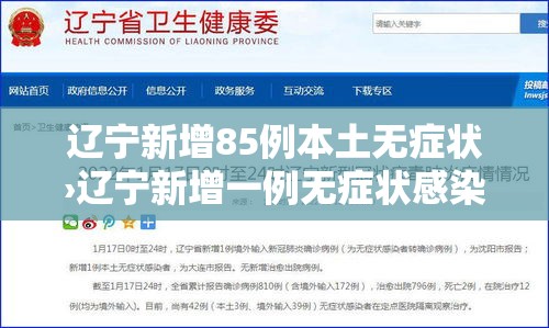 辽宁新增85例本土无症状›辽宁新增一例无症状感染