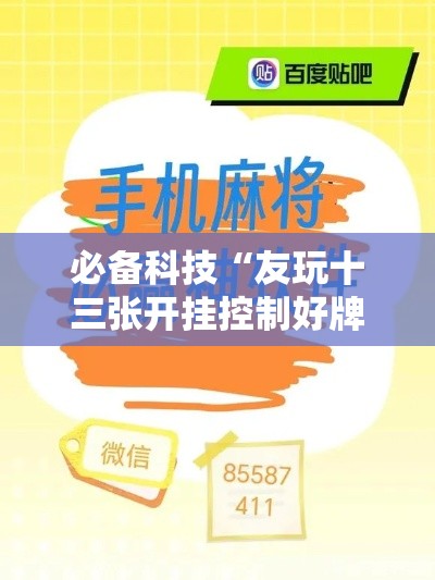 必备科技“友玩十三张开挂控制好牌器”科技辅助神器手机版教程