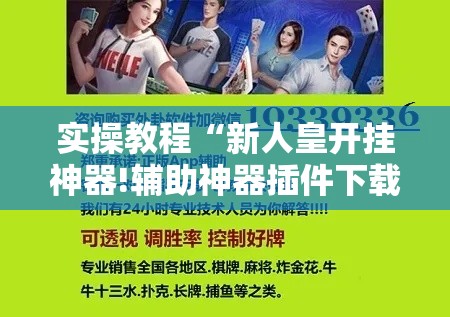 实操教程“新人皇开挂神器!辅助神器插件下载