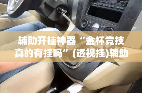 辅助开挂神器“金杯竞技真的有挂吗	”(透视挂)辅助透视教程