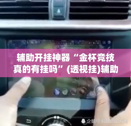 辅助开挂神器“金杯竞技真的有挂吗”(透视挂)辅助透视教程