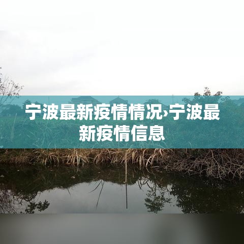 宁波最新疫情情况›宁波最新疫情信息