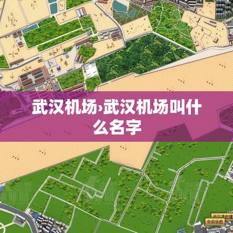 武汉机场›武汉机场叫什么名字