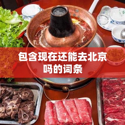 包含现在还能去北京吗的词条