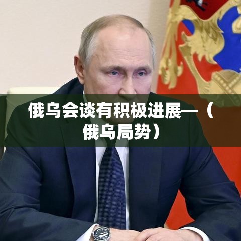 俄乌会谈有积极进展—（俄乌局势）