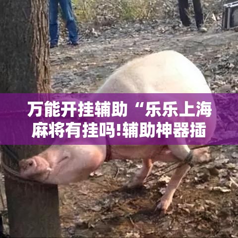 万能开挂辅助“乐乐上海麻将有挂吗!辅助神器插件下载