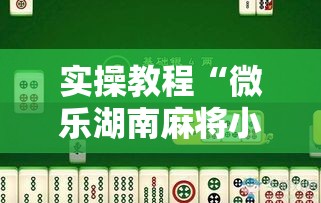 实操教程“微乐湖南麻将小程序必赢神器免费”科技辅助神器手机版教程
