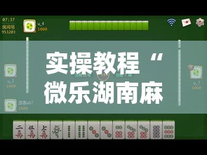 实操教程“微乐湖南麻将小程序必赢神器免费”科技辅助神器手机版教程