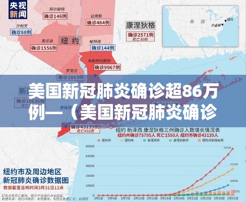 美国新冠肺炎确诊超86万例—（美国新冠肺炎确诊超542万例）