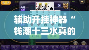辅助开挂神器“钱潮十三水真的有挂”(透视挂)辅助透视教程