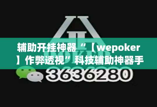 辅助开挂神器“【wepoker】作弊透视”科技辅助神器手机版教程