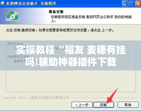 实操教程“福友 麦穗有挂吗!辅助神器插件下载