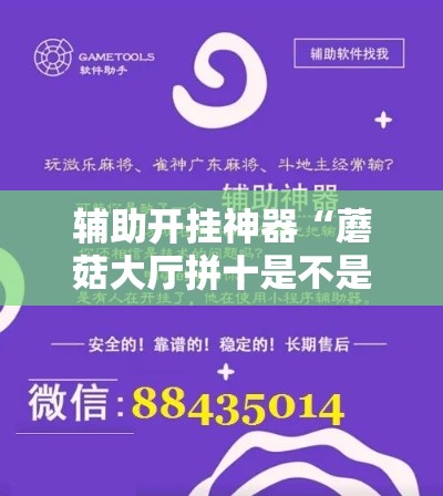 辅助开挂神器“蘑菇大厅拼十是不是有透视辅助挂!辅助神器插件下载