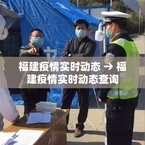 福建疫情实时动态 → 福建疫情实时动态查询