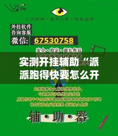 实测开挂辅助“派派跑得快要怎么开挂(辅助神器)开挂详细教程