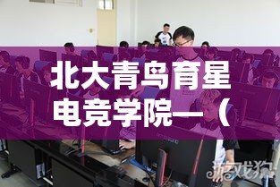 北大青鸟育星电竞学院—（北大青鸟育星电竞学院官网）