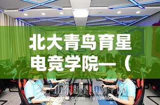 北大青鸟育星电竞学院—（北大青鸟育星电竞学院官网）