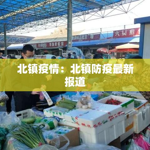 北镇疫情：北镇防疫最新报道
