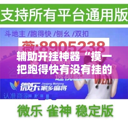 辅助开挂神器“摸一把跑得快有没有挂的”透视开挂辅助教程
