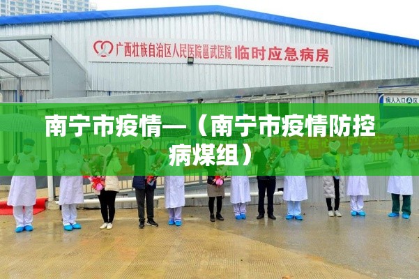 南宁市疫情—(南宁市疫情防控病煤组) 南宁市疫情—(南宁市疫情防控病煤组)