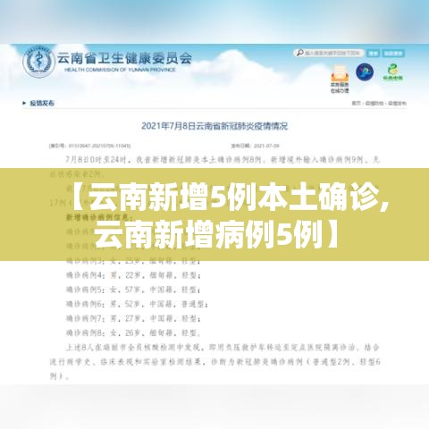 【云南新增5例本土确诊,云南新增病例5例】