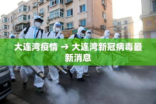 大连湾疫情 → 大连湾新冠病毒最新消息