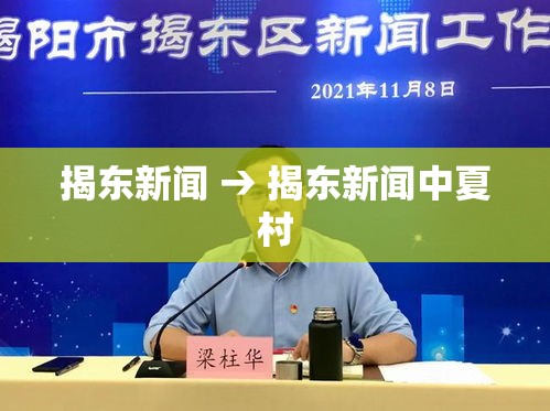 揭东新闻 → 揭东新闻中夏村