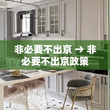 非必要不出京 → 非必要不出京政策