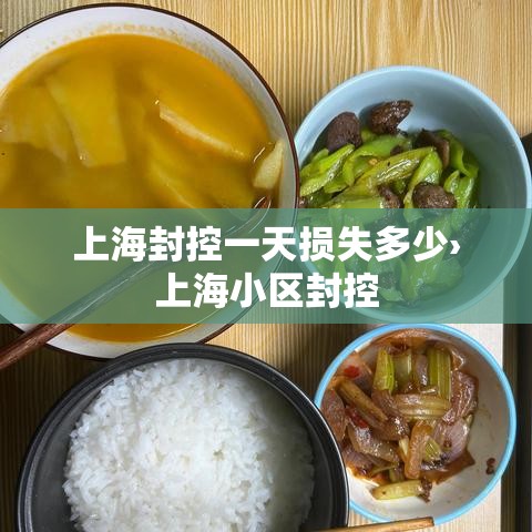 上海封控一天损失多少›上海小区封控