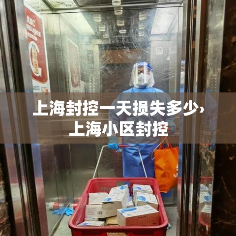 上海封控一天损失多少›上海小区封控